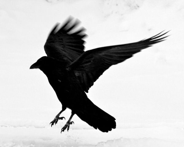 Z3n Tests (cce544 2b5092/1749654091) Help Center home page